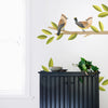 Cedar Waxwing Kit • Peel-and-Stick Wall Decals