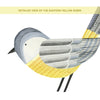 Eastern Yellow Robin Kit • Peel-and-Stick Wall Decals