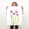 Tulip