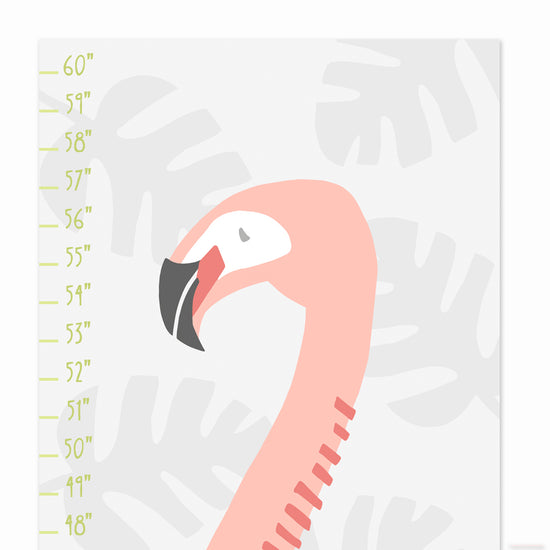 Flamingo Growth Chart