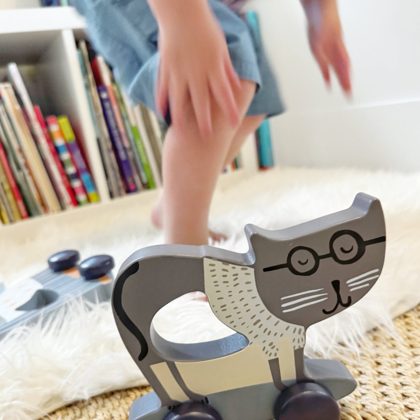 Cat Rolling Toy 2