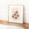 Heirloom Tomatoes • Paper Print