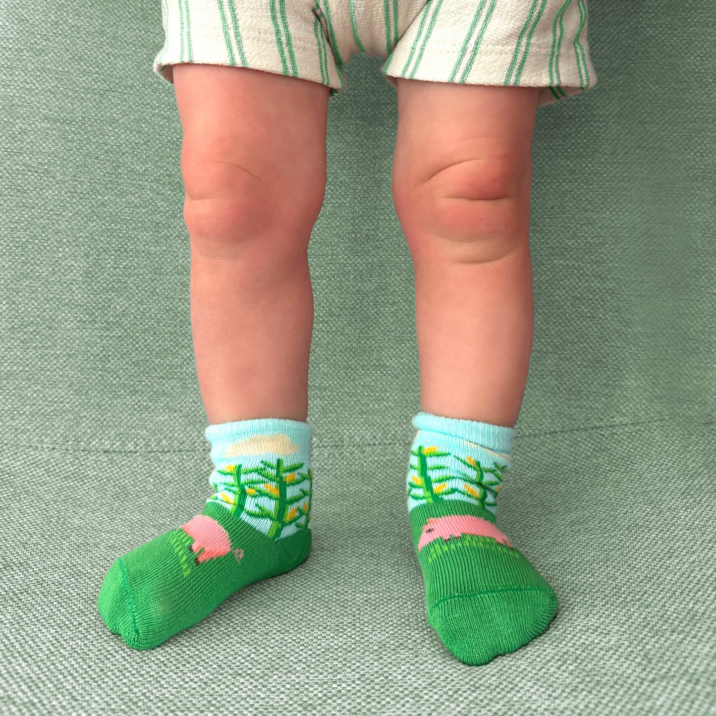 Modern Farm Baby Sock Set