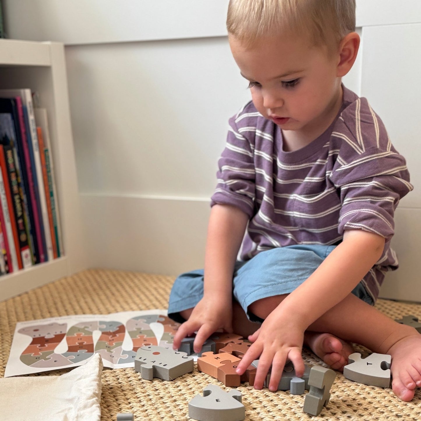 Alphabet Snake Chunky Puzzle 2