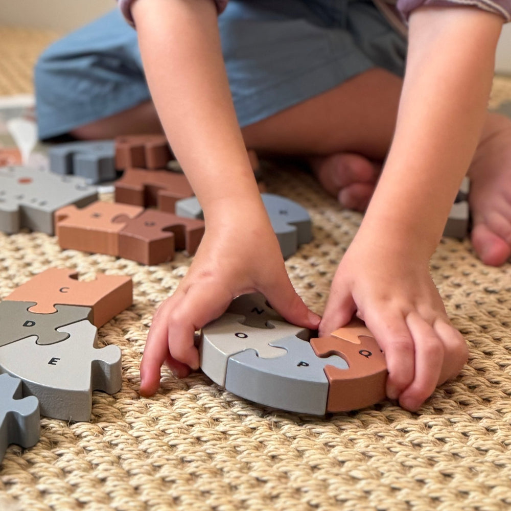 
                  
                    Alphabet Snake Chunky Puzzle 3
                  
                