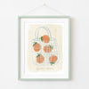 Valencia Oranges • Paper Print