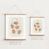 Valencia Oranges • Paper Print